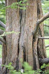 暴雪对《暗黑破坏神4》的“顺利”发布感到非常自豪